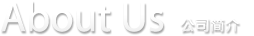 公司简介